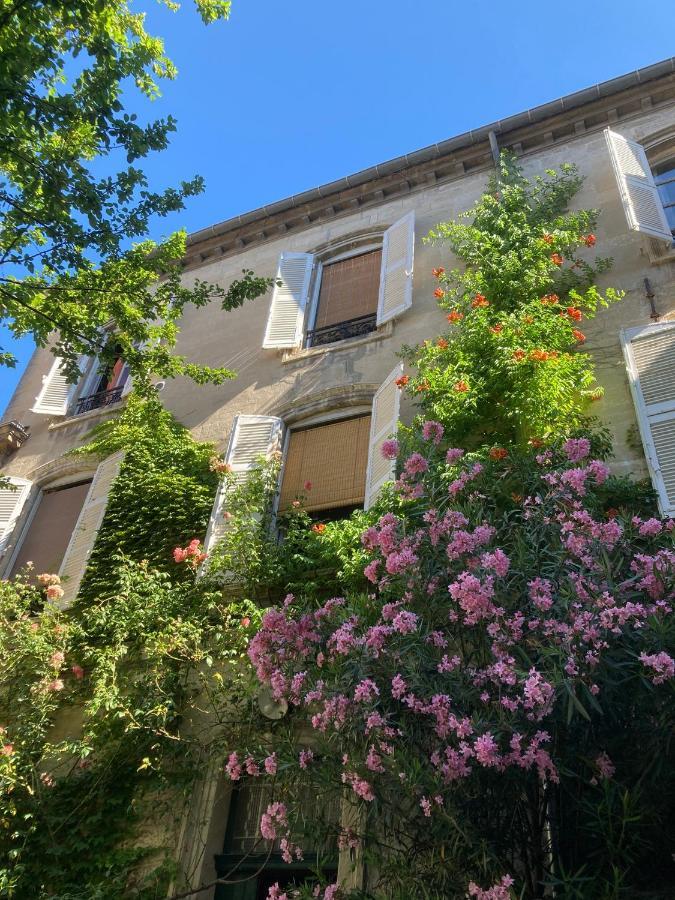Cocooning Avignon Ξενοδοχείο Εξωτερικό φωτογραφία